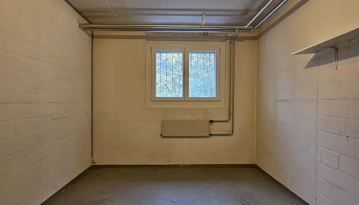 Storage room Storage room Richterswil: Storage room Bodenstrasse 19, 8805 Richterswil