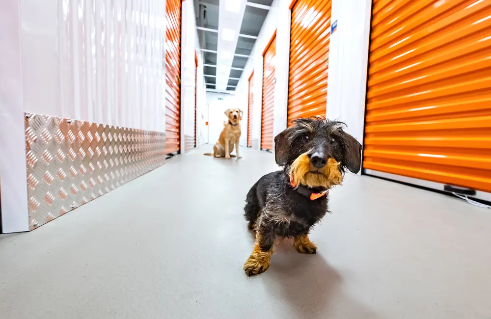 Storage room LAGER-EIN Self Storage Westliches Ringgebiet Braunschweig