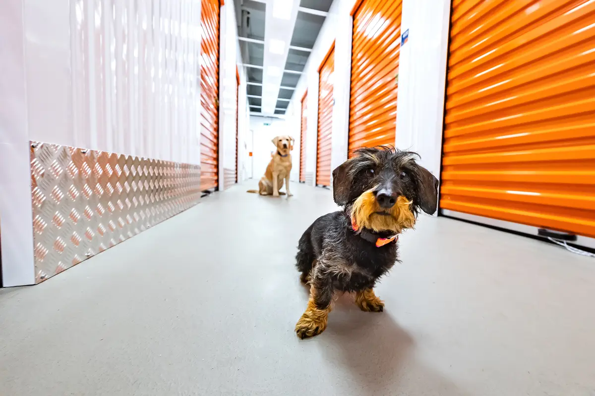 Storage room LAGER-EIN Self Storage Westliches Ringgebiet Braunschweig