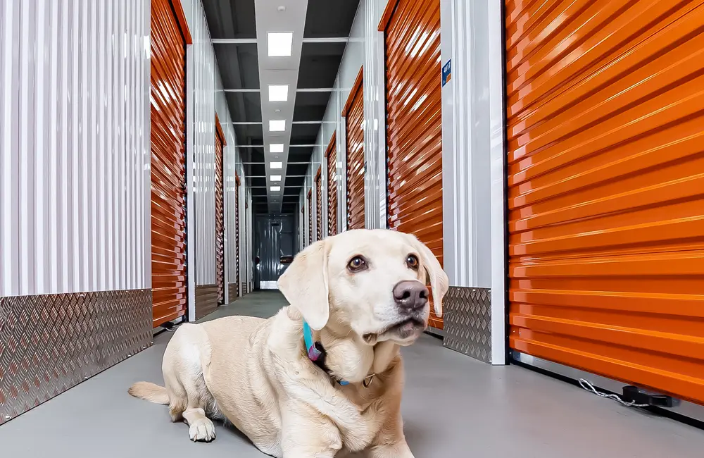 Lagerraum mieten LAGER-EIN Self Storage Gartenstadt Braunschweig