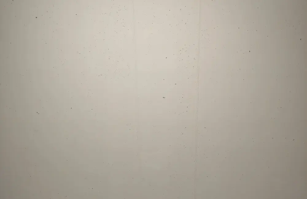 Storage room 8.88m2 Lagerraum Neuendorf - Dorfstrasse 37/37a