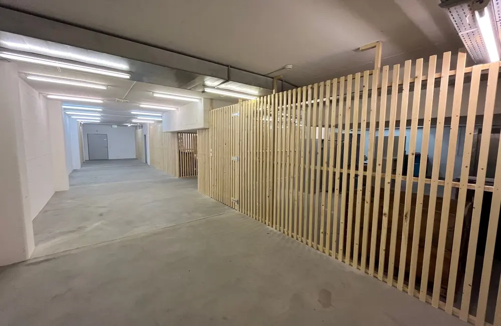Storage room Surface de dépôt en sous-Sol – Proche de la gare de Sion