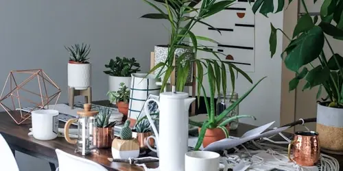 Wohnung zu klein? Im Handumdrehen mehr Platz schaffen
