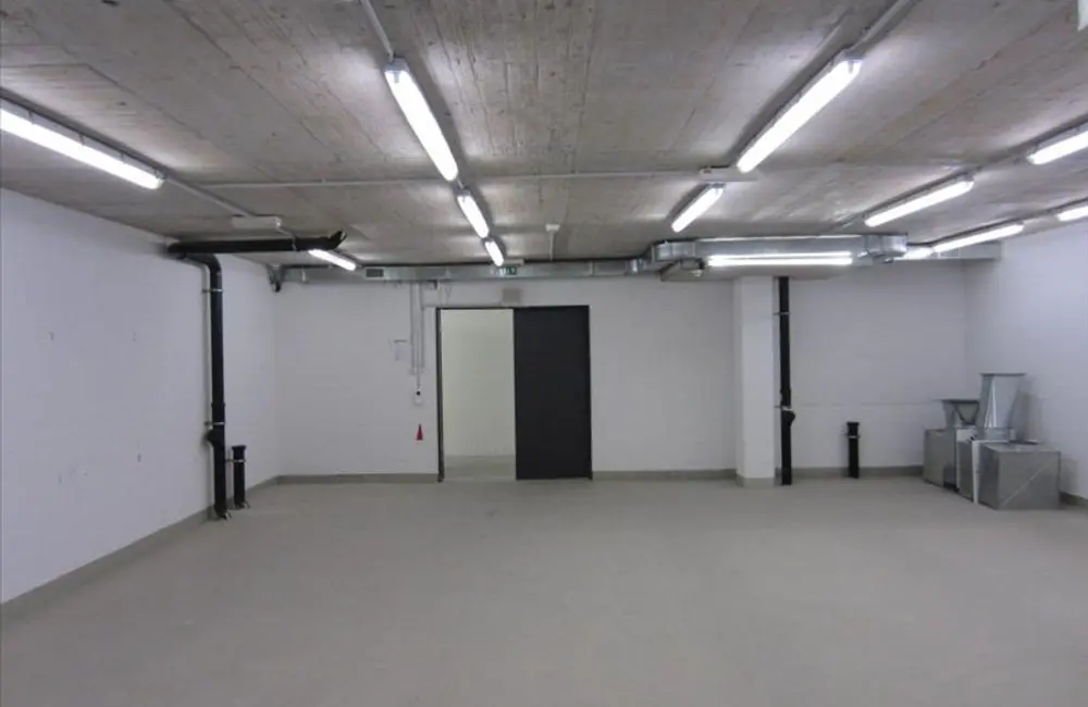 Storage room Lagerraum 50m2 in Winterthur zu vermieten