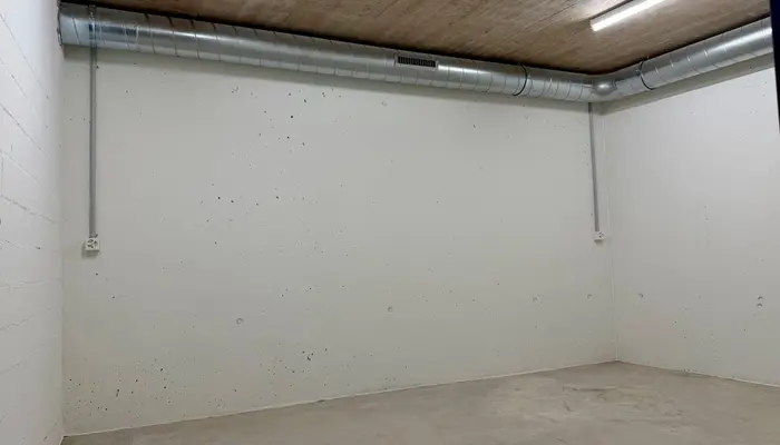 Garde-meuble Wiesendangen: Pièce de stockage Allmannstrasse 18, 8052 Zürich